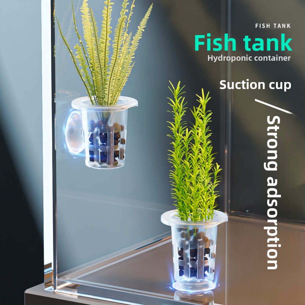 Aquarium Plants Live - 10 Peças de Vasos Hidropônicos Transparentes