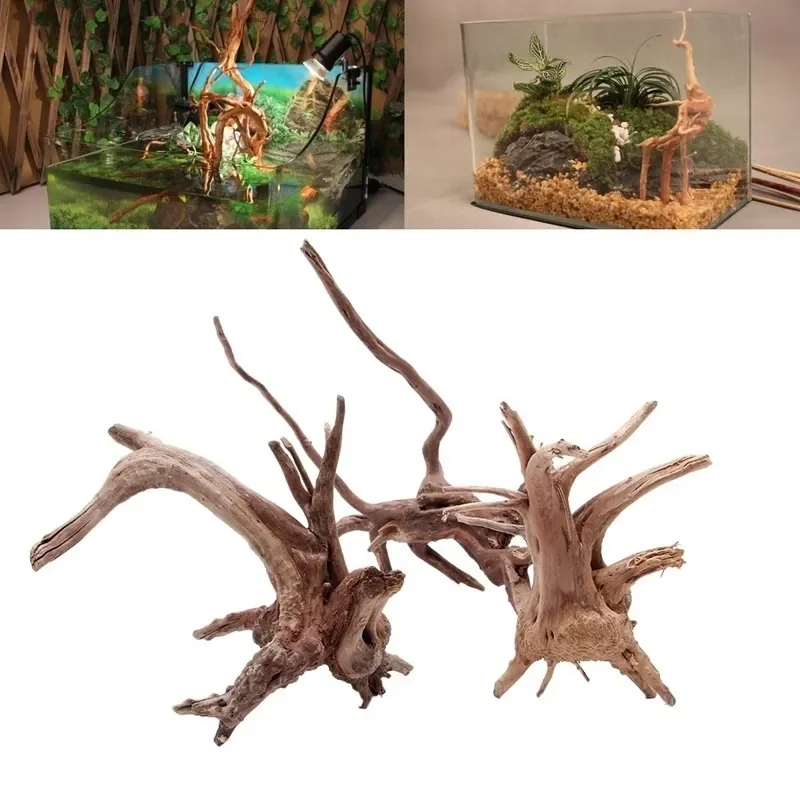 Aquarium Plants Live - Natural Tree Tronco Driftwood para aquário,
