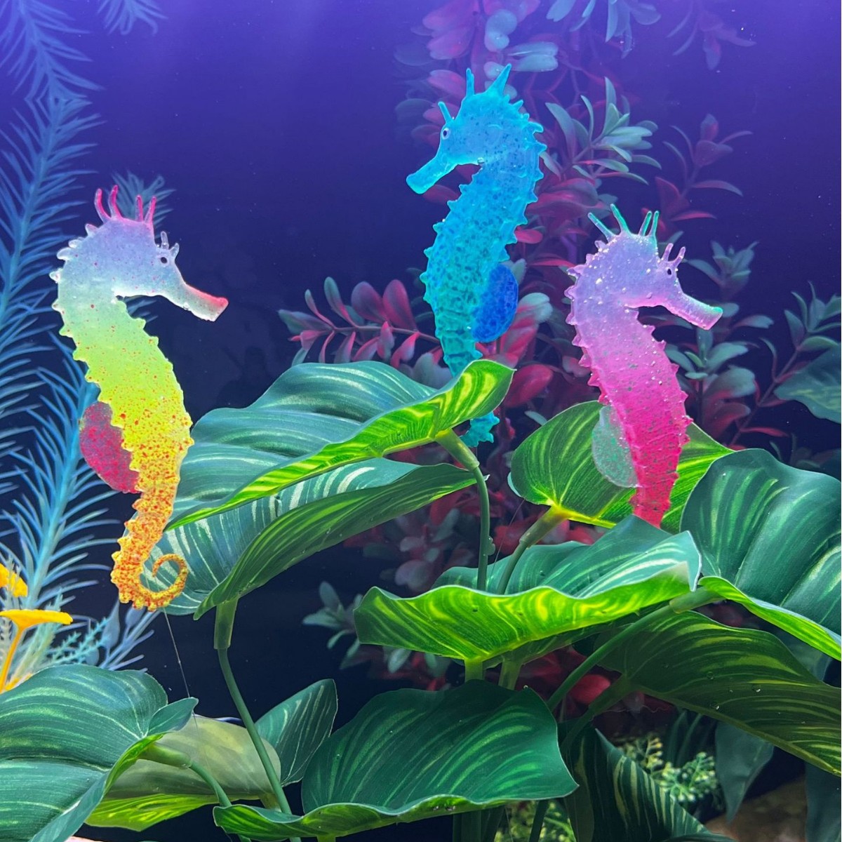 Aquarium Plant Substrate - Decoração de Aquário com Cavalo-Marinho Luminoso