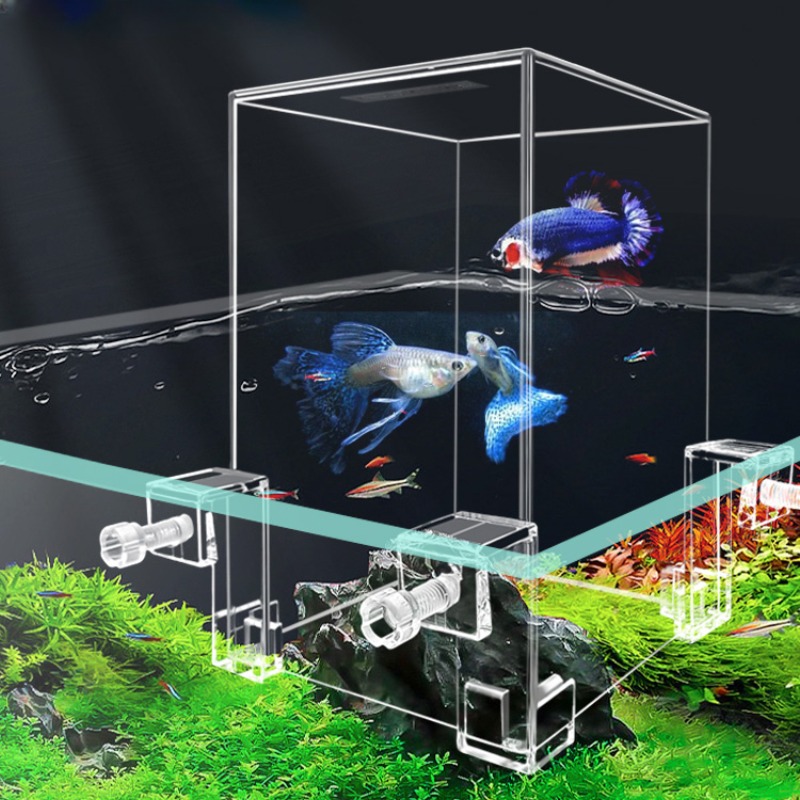 Plant Aquarium Pot - Aquário de pressão negativa para peixes