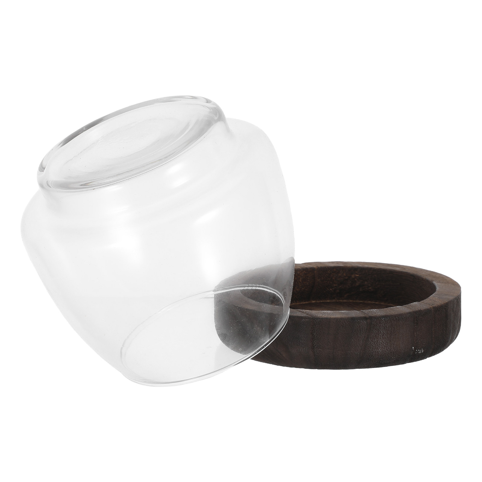 Aquarium Plant Holder - Suporte de plantas hidropônicas em vidro