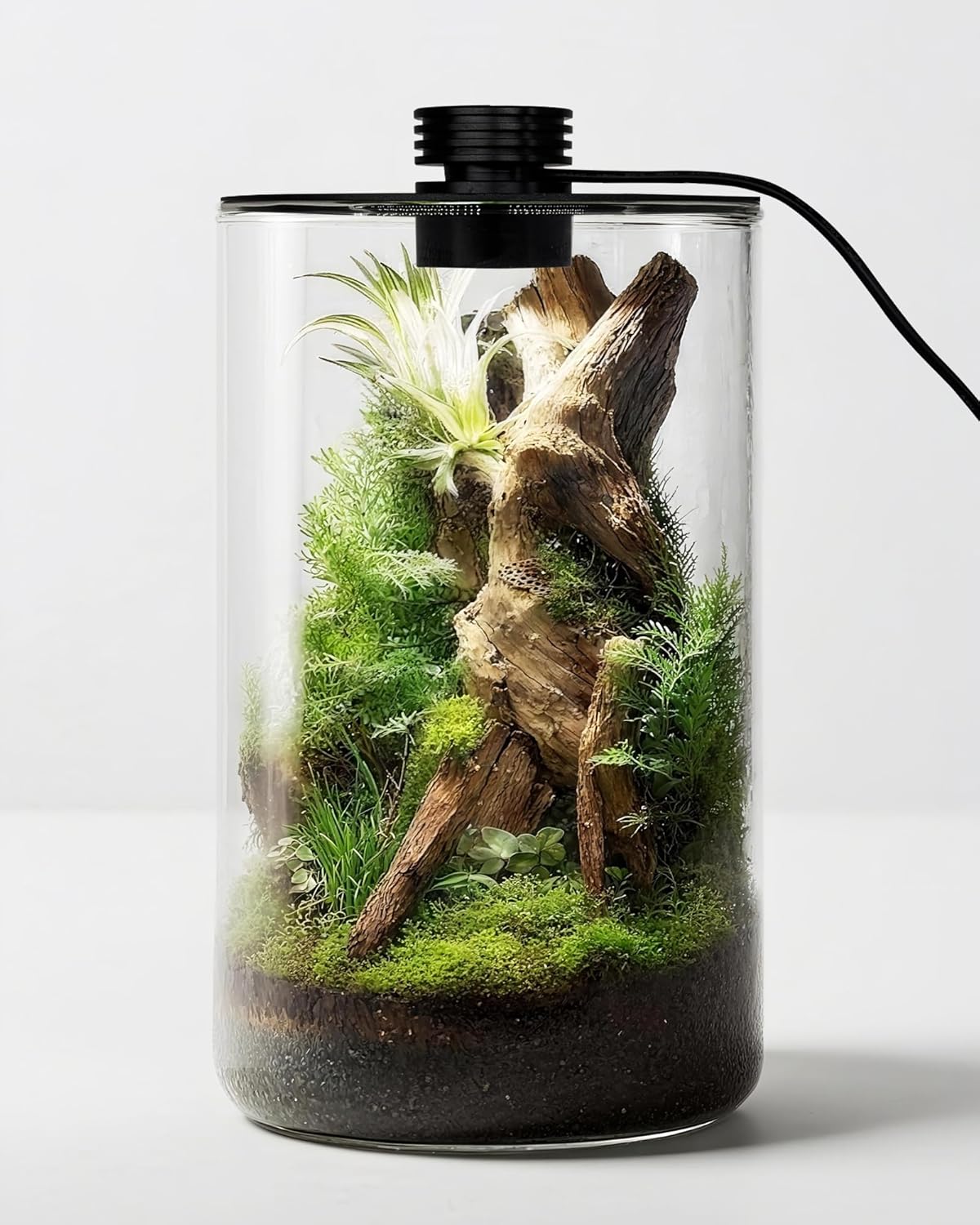 Planted Tank - Terrário de Vidro Interno com Luz