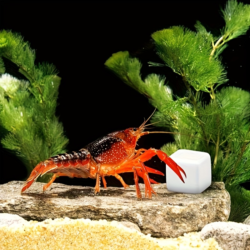 Aquarium Fertilizer - 6 Peças de Blocos de Cálcio