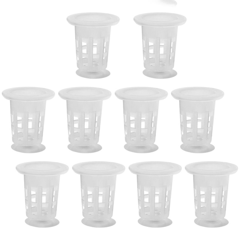 10 Peças de Vasos Hidropônicos - Aquarium Plants Live avaliação e preço