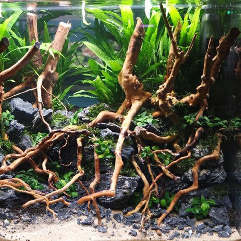 Tronco de madeira natural para - Aquarium Driftwood avaliação e preço