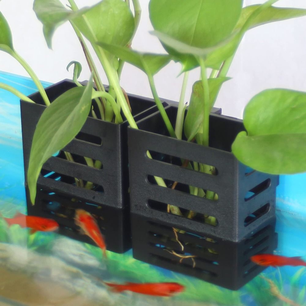 Suporte de planta para tanque  - Aquarium Plant Holder avaliação e preço
