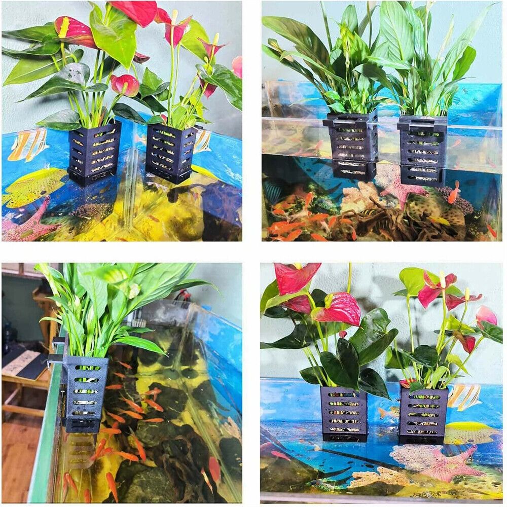Suporte de planta para tanque  - Aquarium Plant Holder avaliação e preço