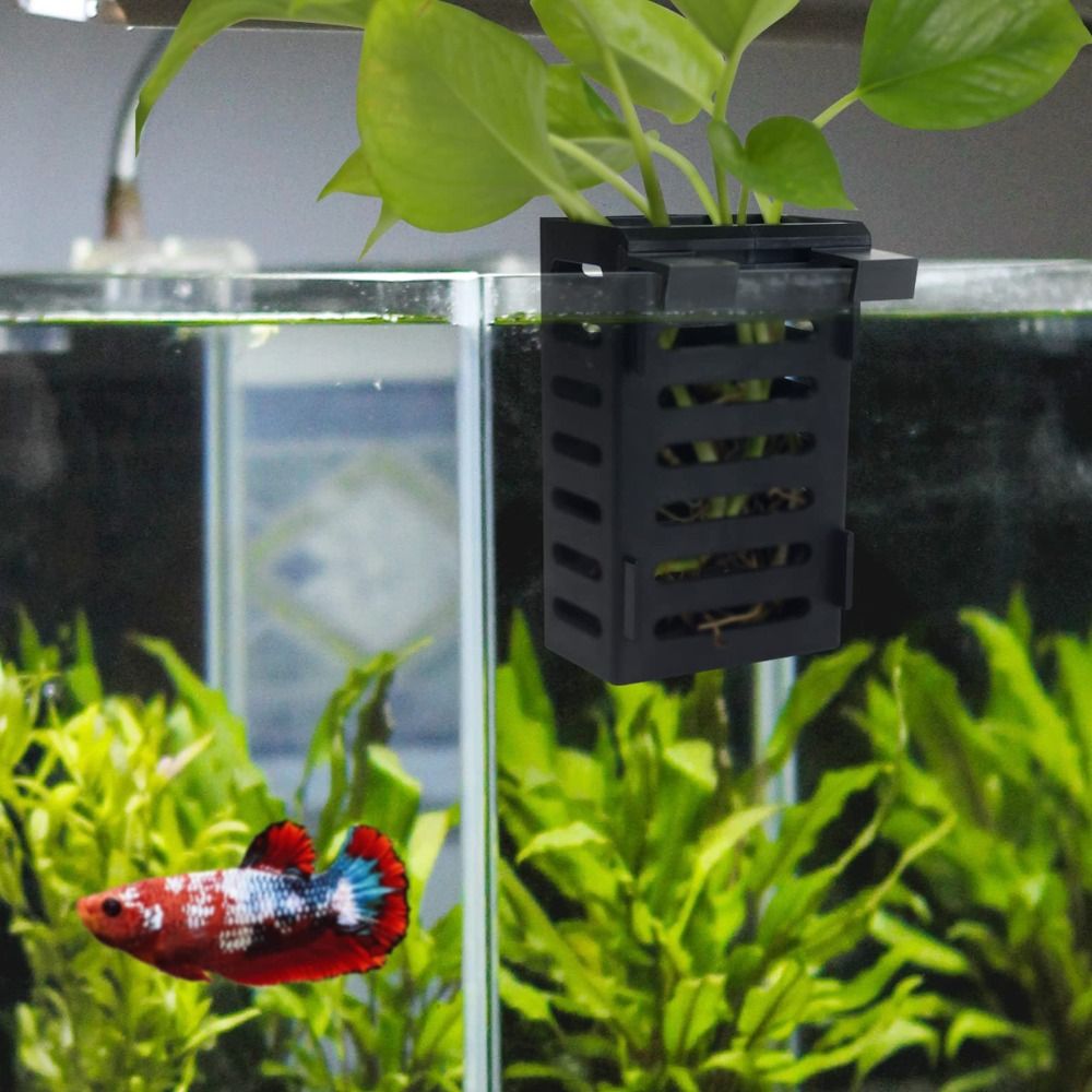 Suporte de planta para tanque  - Aquarium Plant Holder avaliação e preço