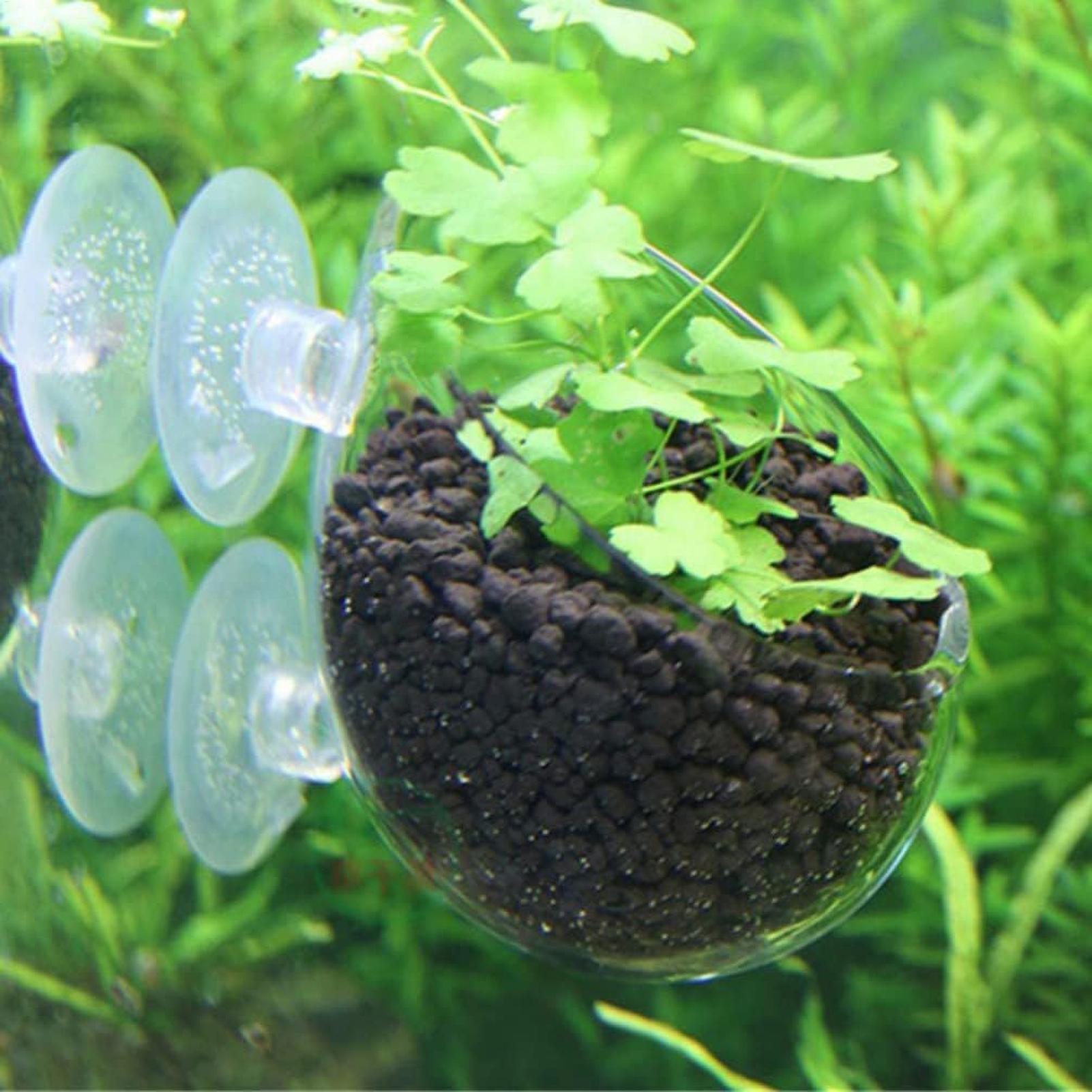 Suporte de Plantas para Aquári - Aquarium Plants Live avaliação e preço