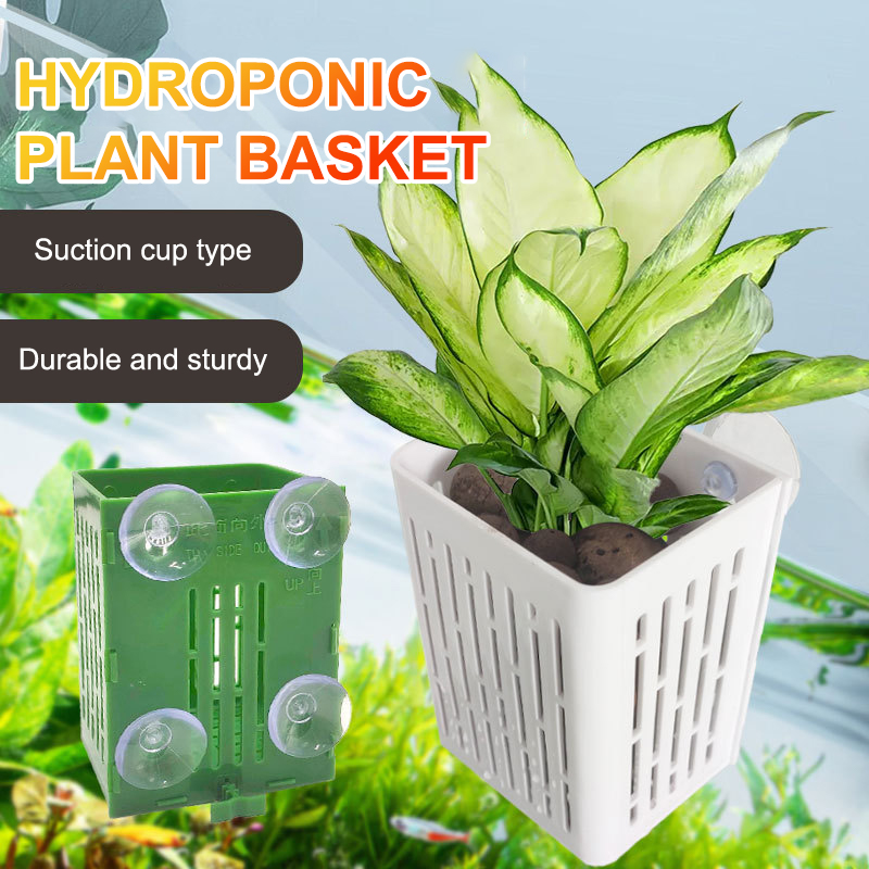 Pendurado ventosa gancho aquár - Aquarium Plant Holder avaliação e preço