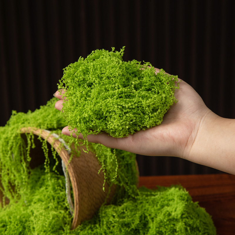 Musgo da Vida Eterna 200g para - Aquarium Moss avaliação e preço