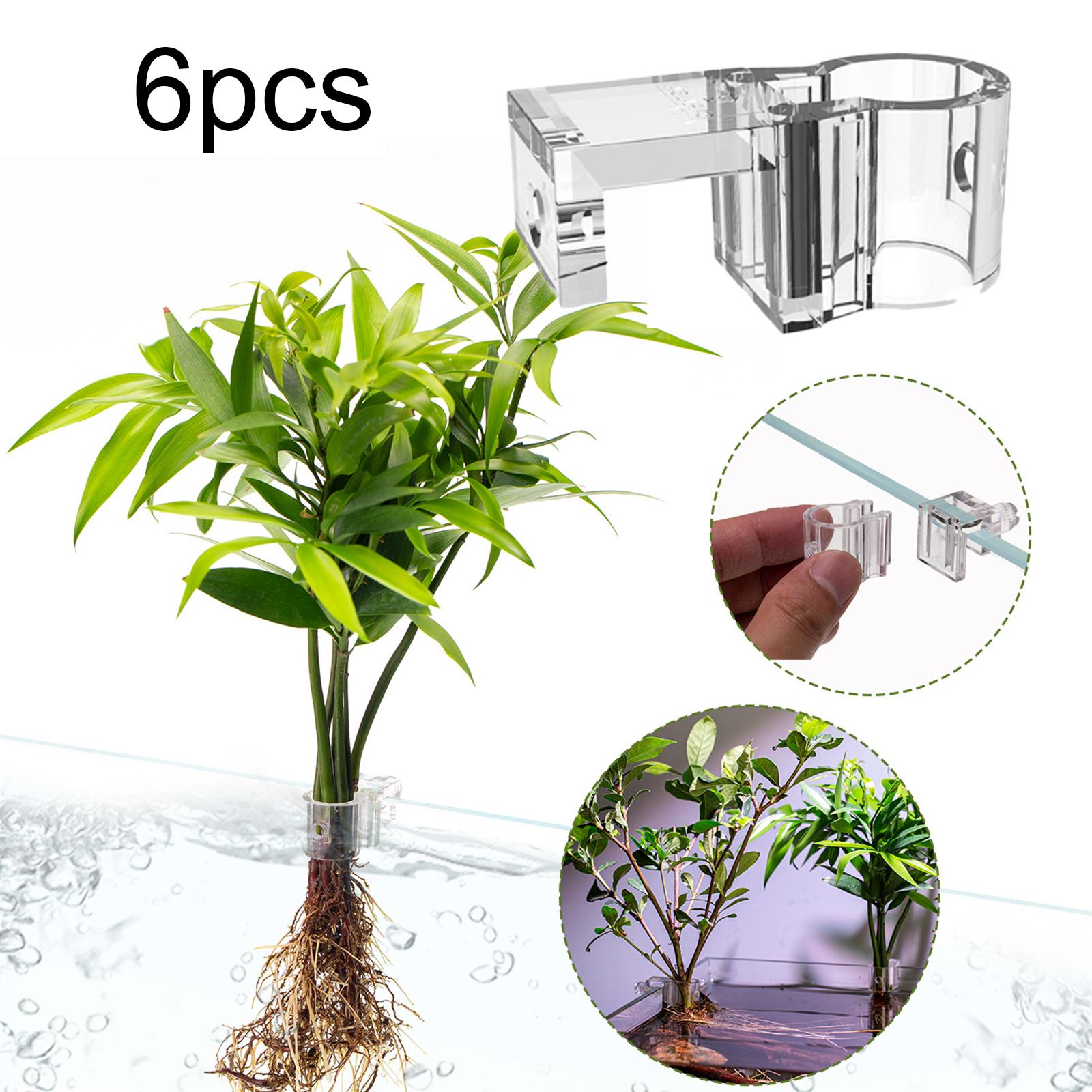 6 Peças de Suporte para Planta - Aquarium Fertilizer avaliação e preço