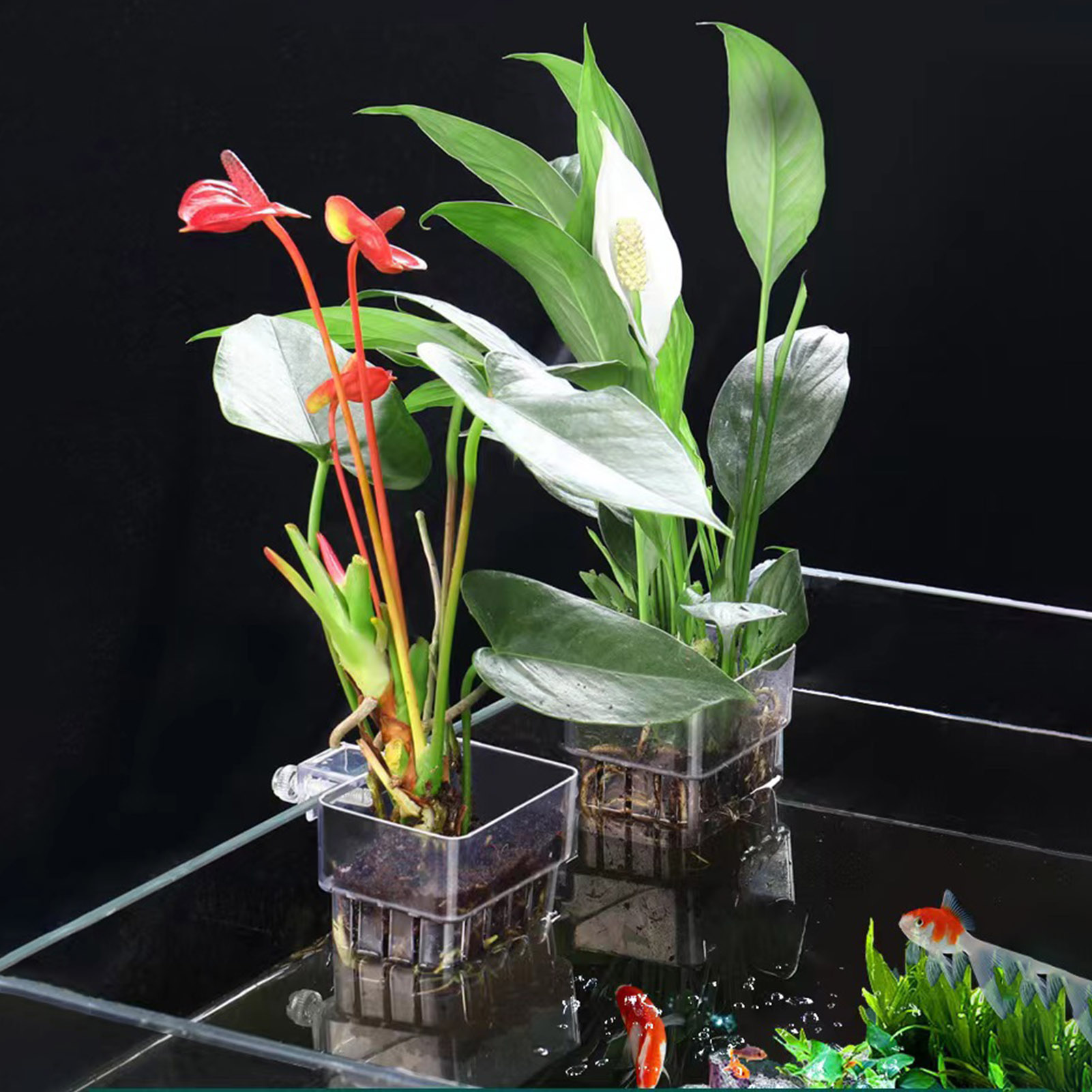 Suporte de plantas em acrílico - Aquarium Plant Holder avaliação e preço