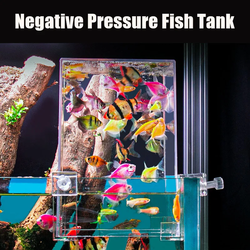 Aquário de pressão negativa pa - Plant Aquarium Pot avaliação e preço