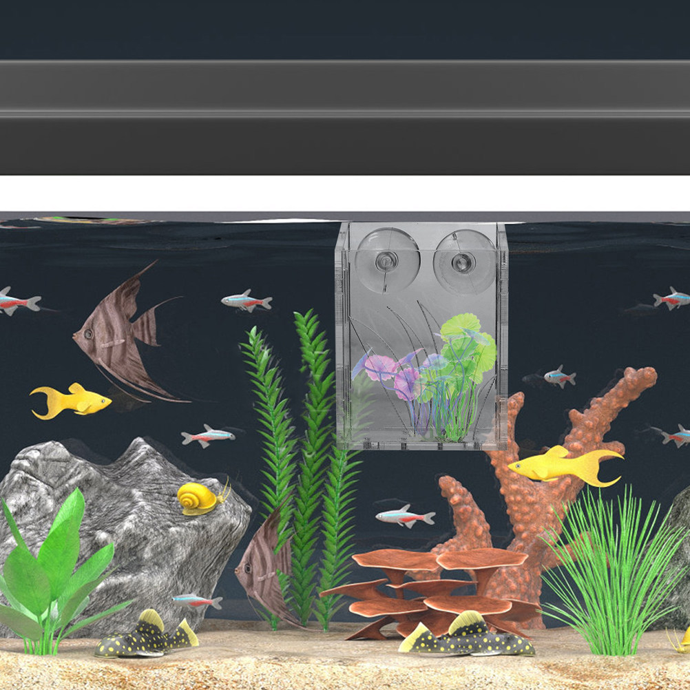 3 unidades de suportes para pl - Aquarium Plant Holder avaliação e preço