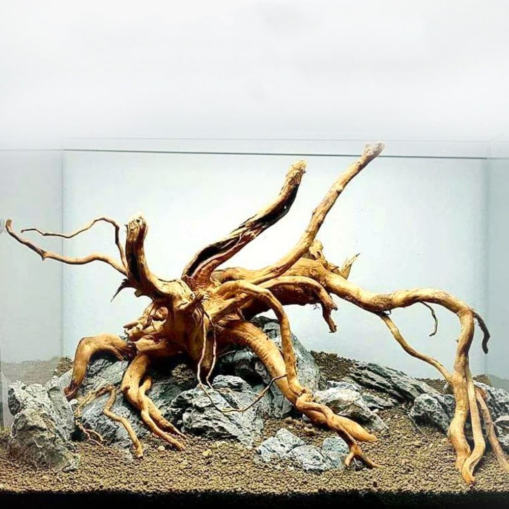 Tronco de Madeira Natural Gran - Aquarium Plants Live avaliação e preço