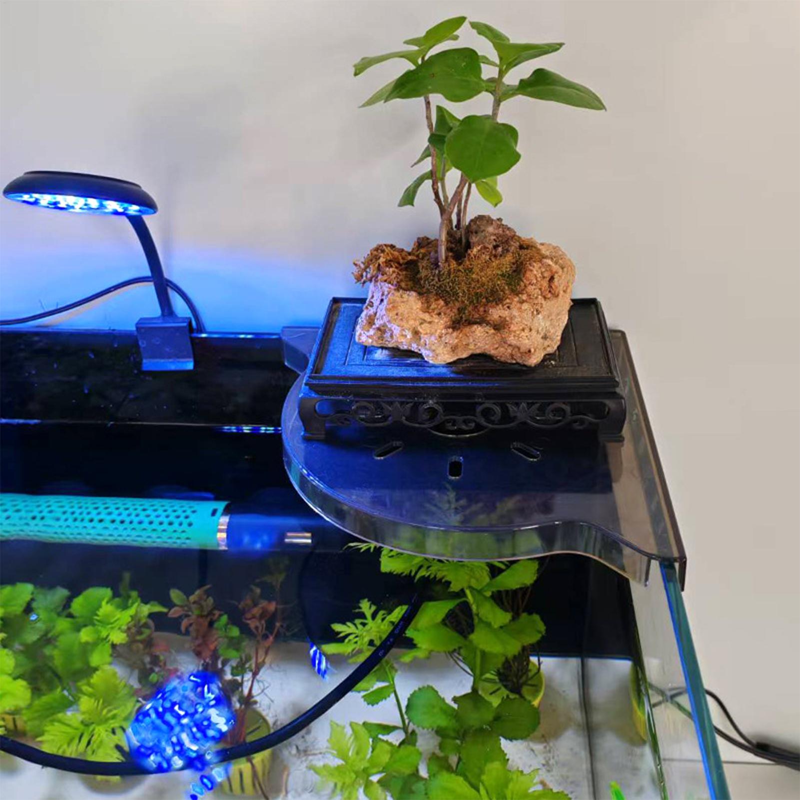 Suporte de Canto para Aquário  - Aquarium Plants Live avaliação e preço