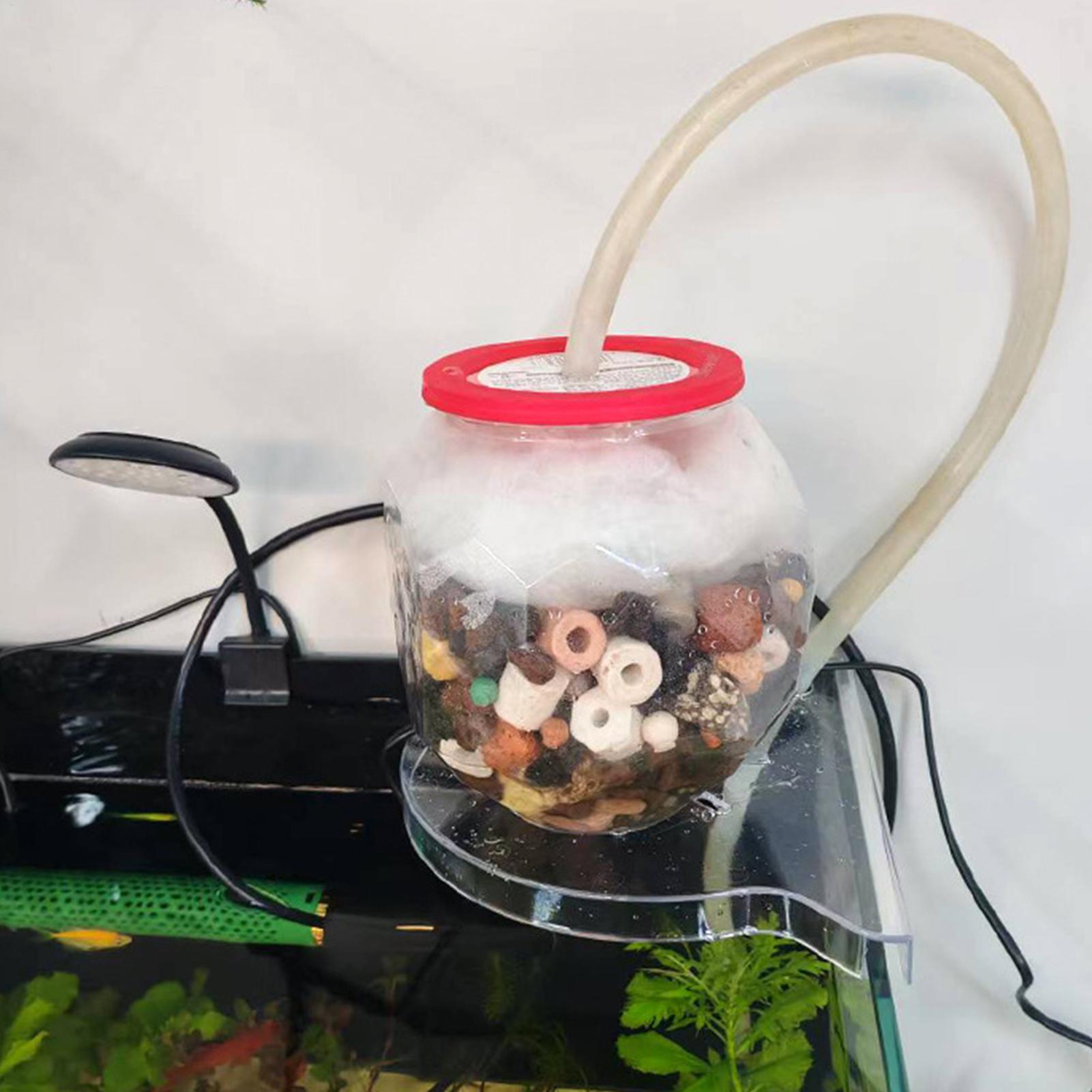 Suporte de Canto para Aquário  - Aquarium Plants Live avaliação e preço