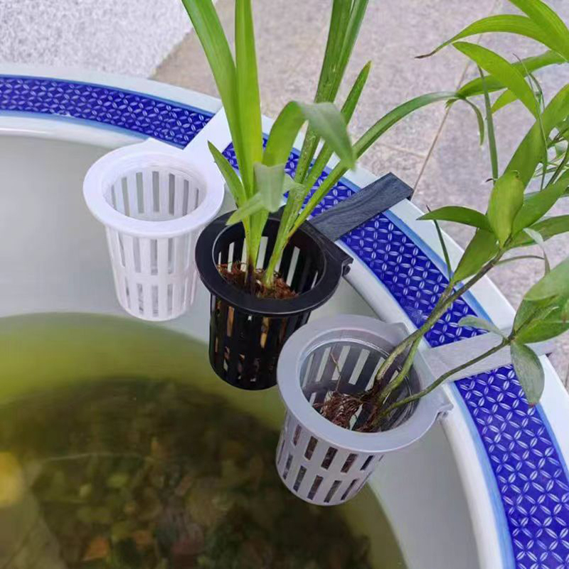 1/3 pçs cesta de plantas de aq - Aquarium Plants Live avaliação e preço