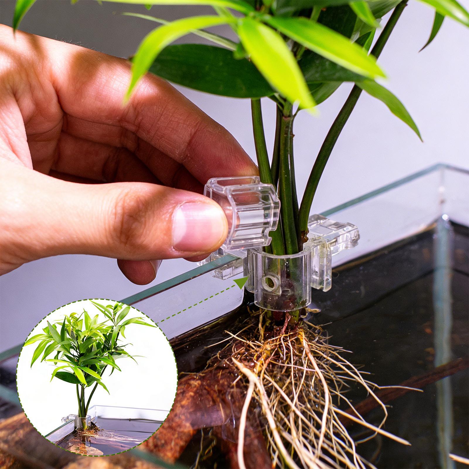 Suportes Transparentes para Pl - Aquarium Plants Live avaliação e preço