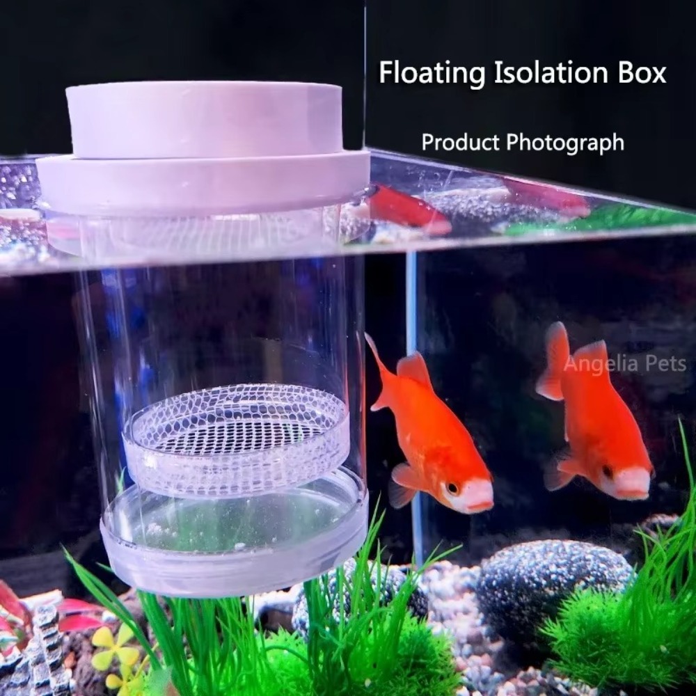 Plástico flutuante caixa de is - Aquarium Fertilizer avaliação e preço