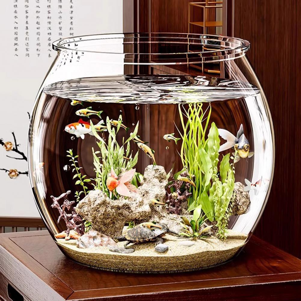 Tigela de peixes redonda de pl - Plant Aquarium Pot avaliação e preço