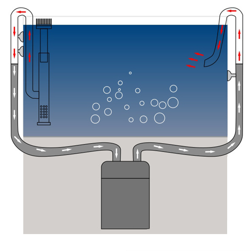 Aço inoxidável Inflow Outflow  - Aquarium Planted Tank Filter avaliação e preço