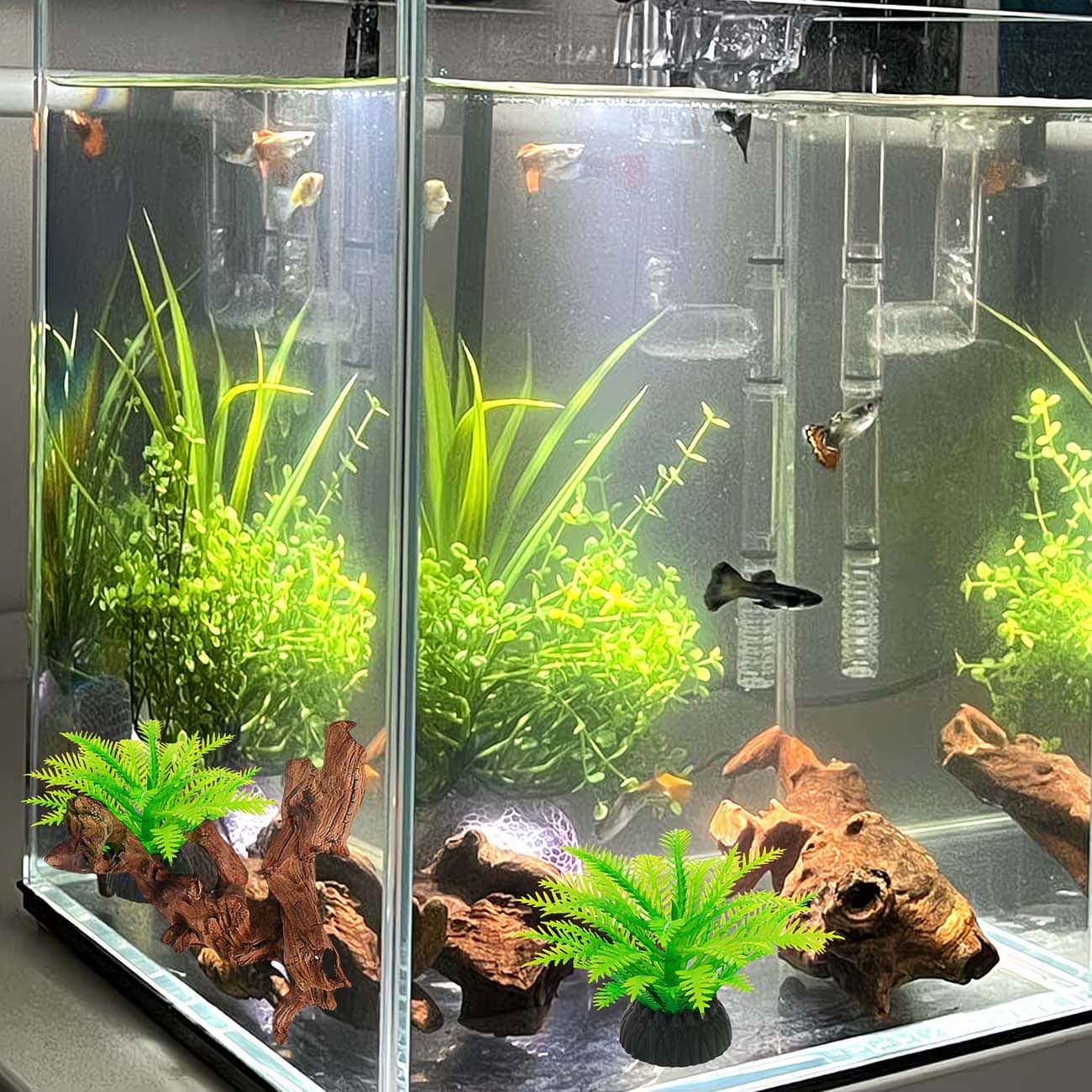 Madeira Natural Submersível de - Aquarium Driftwood avaliação e preço