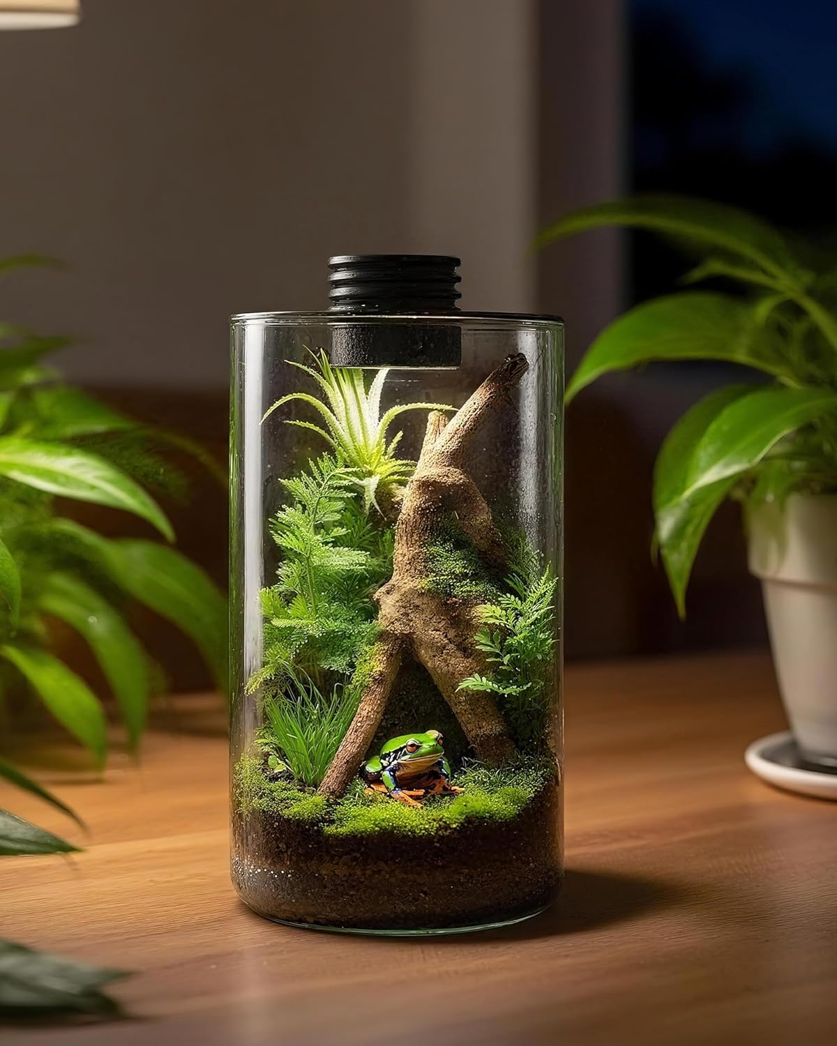 Terrário de Vidro Interno com  - Planted Tank avaliação e preço