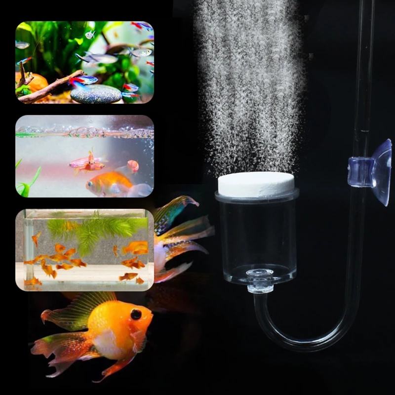 CO2 Difusor para Aquário, DIY  - Aquarium Liquid Carbon avaliação e preço