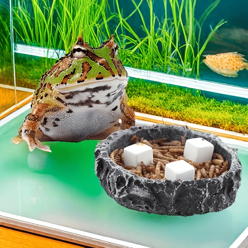 6 Peças de Blocos de Cálcio pa - Aquarium Fertilizer avaliação e preço