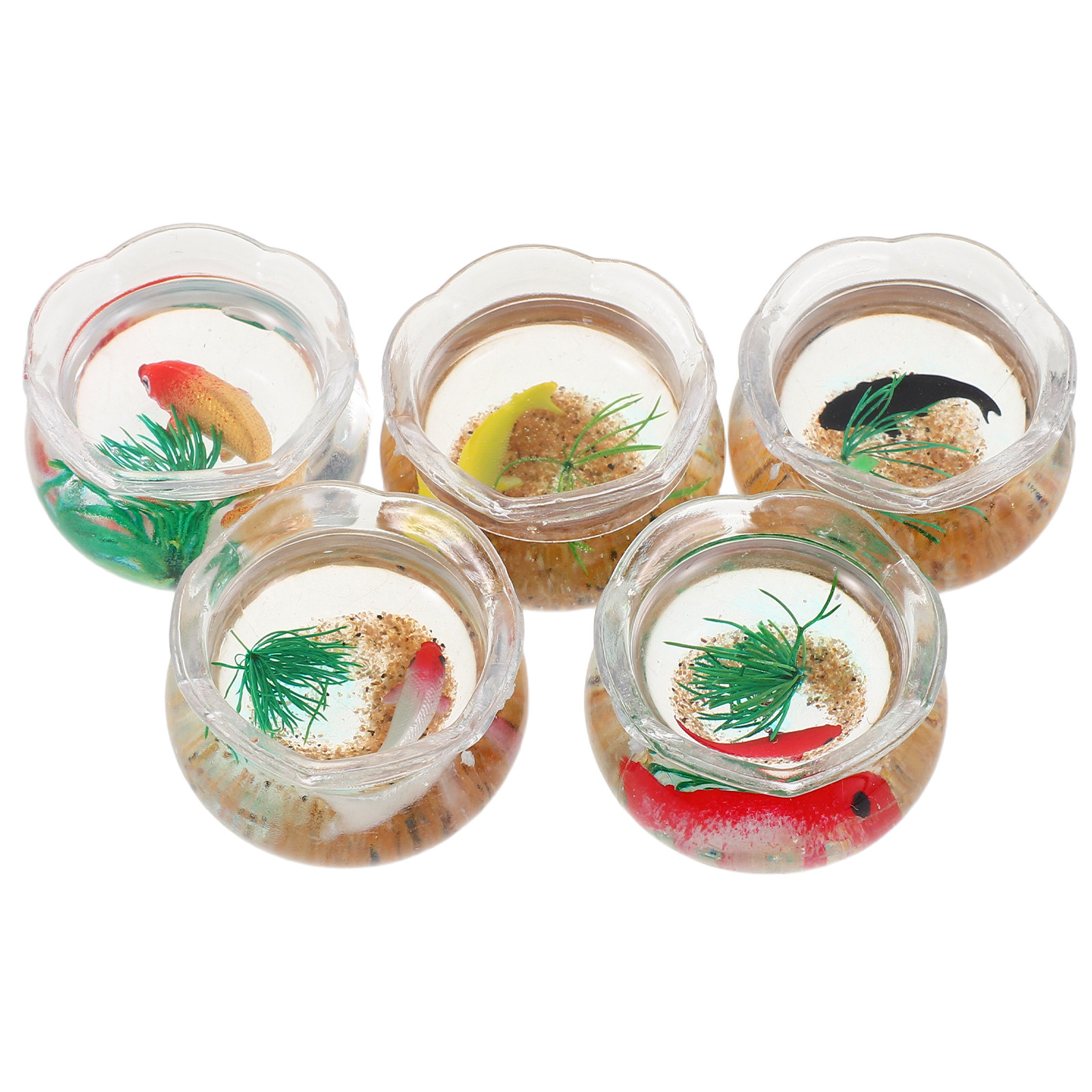 5 Peças Mini Aquário de Peixes - Planted Tank avaliação e preço